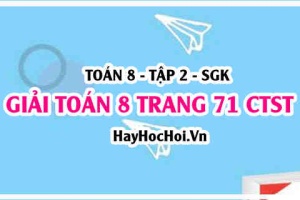Giải Toán 8 trang 71 tập 2 Chân trời sáng tạo